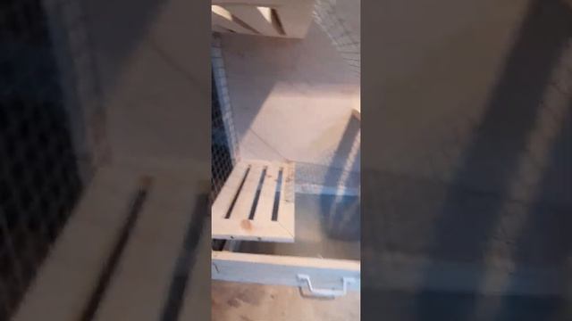 Клетка для шиншиллы и мелких животных | Своими руками смотреть онлайн