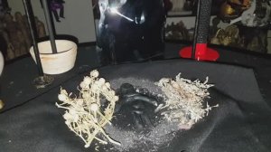 СИЛЬНЕЙШАЯ ЧИСТКА ЗЕРКАЛЬНИК.  ДЛЯ ВСЕХ.  ВЕДЬМИНА ИЗБА  ▶️  ИНГА ХОСРОЕВА