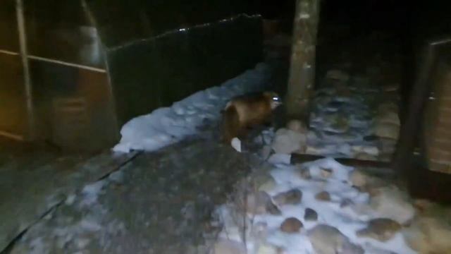 Басня И. А. Крылова "Ворона и Лисица". ОЧЕНЬ ИНТЕРЕСНО! смотреть онлайн