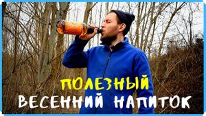 Чем нас уже кормит земля. Полезный весенний напиток. Козы с козлятами вышли на свежую траву.