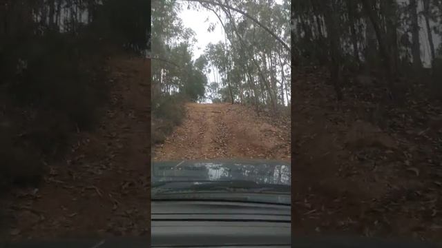 terrano 1 td27 смотреть онлайн