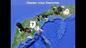 Мастер-класс_ Презентация PowerPoint Мир дикой природы Камчатки