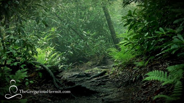 The Daily Minute - Meditation #49 - Micro Meditations for Busy People смотреть онлайн