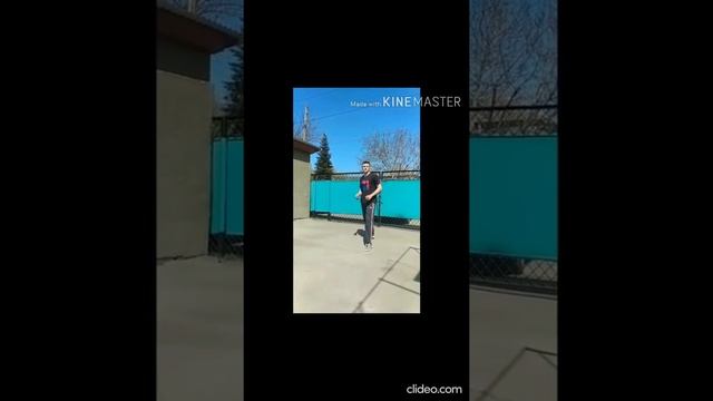 Тренировка по тхэквондо. Голбуев С. Н. смотреть онлайн