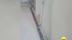 Монтаж проводки в новостройке. Отзыв заказчика.