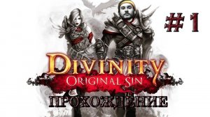 Прохождение DIVINITY: ORIGINAL SIN / НАЧАЛО #1