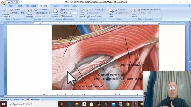 Anatomy GIT module 2020 ( Inguinal canal , part 2) , by Dr. Wahdan смотреть онлайн