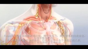 Спортсмены о БЭМ-FOHOW-Сергей Маслобоев о Fohow Биоенерго масажоре