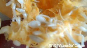 Зимний рацион коз в Сибири. Чем мы кормим наших коз