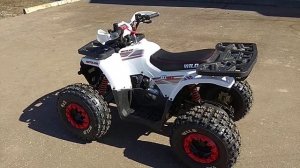 Обзор квадроцикла Wild 125.Серия 2