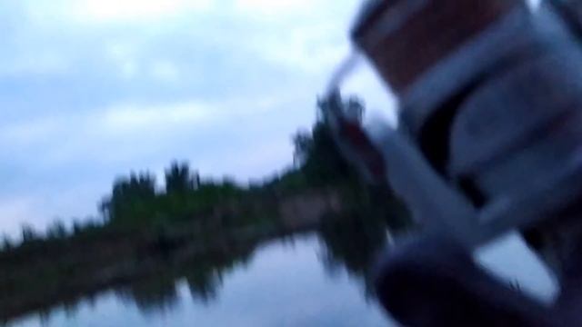 Ловля сома на донку с берега. Какую наживку на сома я применяю на рыбалке