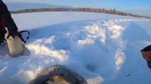 КИТАЙСКАЯ АВТОНОМКА в -25! ЩУКА НА МИГАЛКУ в мороз! ПОСЛЕДНЯЯ РЫБАЛКА БЛОГЕРА 2019