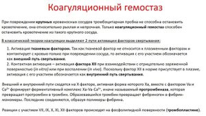 Биохимия. Лекция 34. Гемостаз