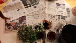 Закрытая экосистема своими руками. Вечный (пока не точно) террариум( флорариум)