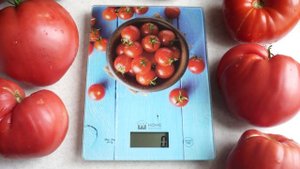 Вкусные, урожайные помидоры! Томат Чёрный Ананас.