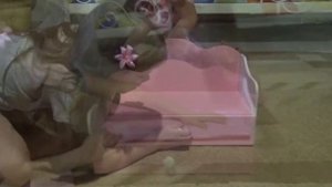 Вика и  новая кровать-карета для принцессы насти