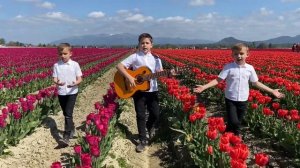 Не грусти, не рыдай . А весна вновь прекрасная . Брати Гаврилюки . Марк , Тимофей и Даниил