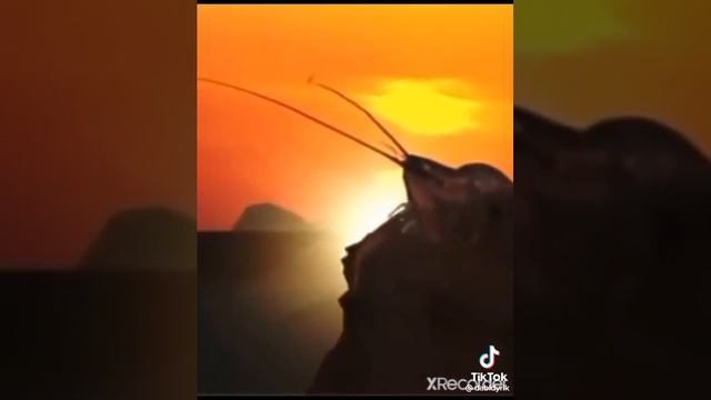 Когда рак на горе свистнет смотреть онлайн