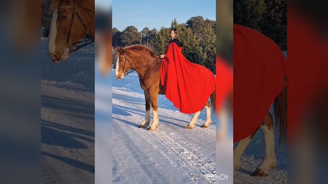 Бронза,это мой самый любимый ребёнок❤️Я никому её не отдам😊 Она самая лучшая)❤️💕 смотреть онлайн