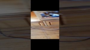 Усилитель Yamaha AX 500, и акустика Hi End Klipsch RF 82