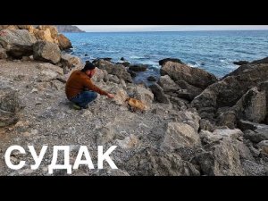 Уникальные кадры. Дикие лисы обитают на Крымском берегу моря.
