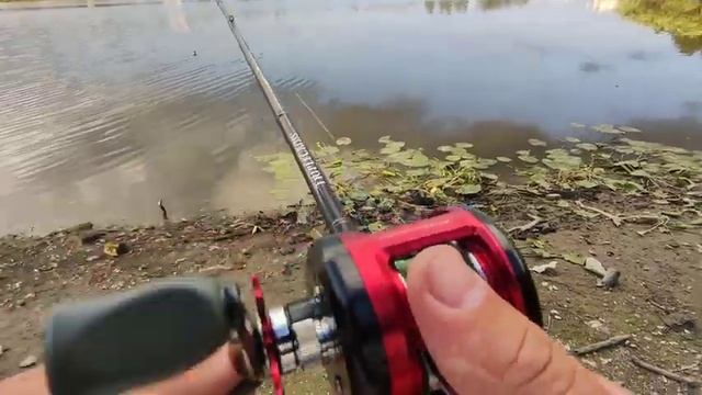Daiwa Millionaire