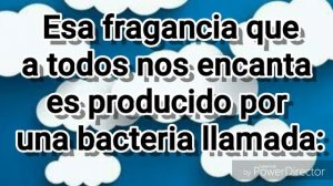 ¿Que es el Petricor? 💧 #AprendiendoMeteorología