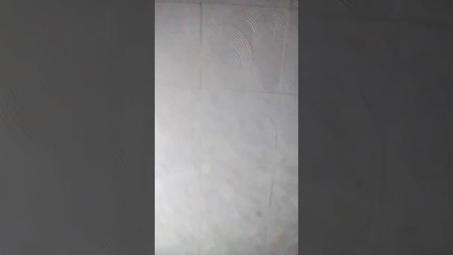 С днём рождения Себила смотреть онлайн