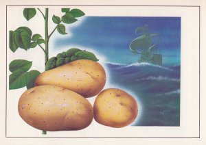 История появления картофеля.