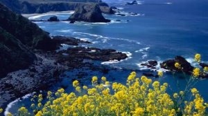 Море Молодости - ЛИЛИ ИВАНОВА.