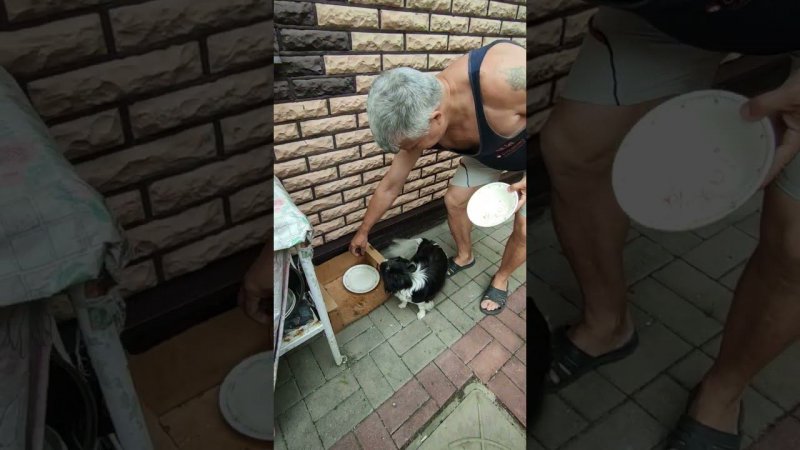 малина дороже мяса.