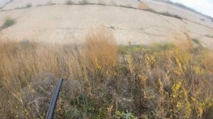 охота на фазана в крыму.красноперекрпск