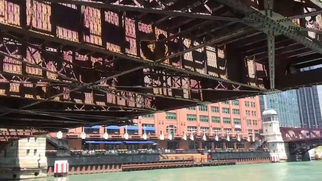 Chicago trip. Наша поездка в Чикаго.