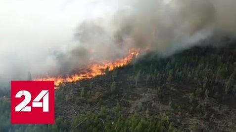 В России сейчас горит около 106 тысяч гектаров леса - Россия 24 