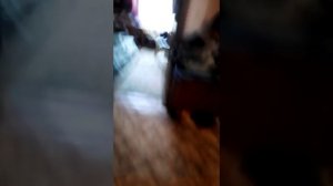 Стиральная машина Indesit wisl105x сошла с ума или быстрая стирка + супер полоскание часть 1