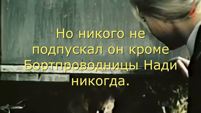 #МУХТАР Стихи о собачьей верности. ДО СЛЕЗ!!!. Пес ждал хозяина в аэропорту. Автор Мария Шадрина