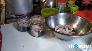 Консервы из скумбрии в скороварке + скумбрия быстрого посола. Два блюда в одном видео.