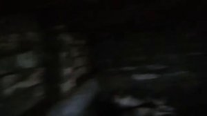 Загон для свиней