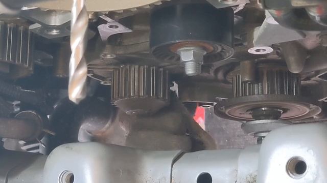 Замена ремня ГРМ на Ситроен / Citroen. Метки ремня ГРМ.