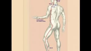 Чудесные меридианы. Курсы по иглорефлексотерапии. Акупунктура.