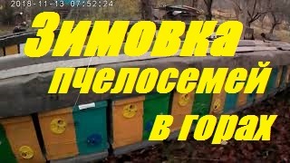Первый весенний осмотр пчел.Двух семейное содержание пчел.Улья корпусные 8 рам.