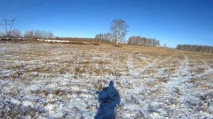 Вытропил зайца по свежему снегу. Хороший подъем. Охота на зайца. Много следов!!!