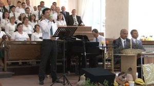 Одна листва..