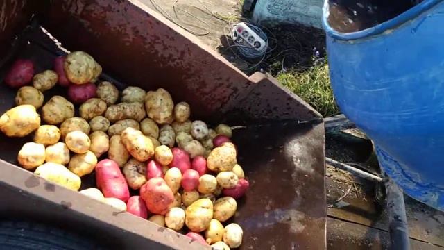 Мойка картофеля смотреть онлайн