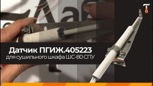 Датчик ПГИЖ.405223.020 для сушильного шкафа ШС-80 СПУ, обзор. Лаб-Терм