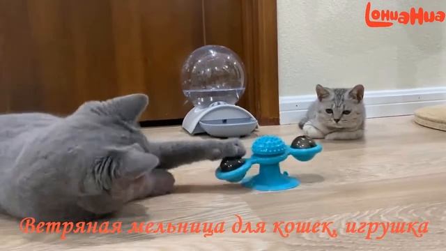 ? Игрушки для кошек . Ветряная мельница для кошек. Товары для кошек с Алиэкспресс 2022.