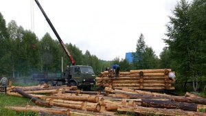 Сборка сруба из бревна при помощи крана-манипулятора. Таймлэпс  видео
