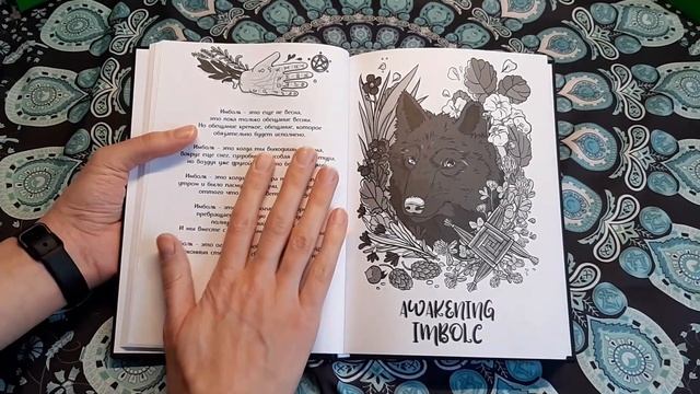 Большой обзор ведьмовского планера WitchJo смотреть онлайн