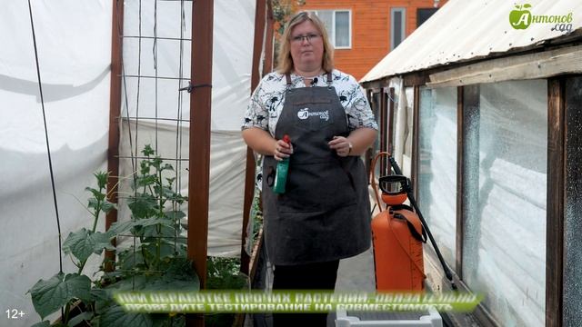 ПАУТИННЫЙ КЛЕЩ на огурцах: уничтожаем без вреда для урожая! смотреть онлайн