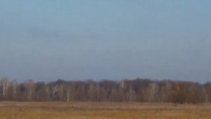 Паратрайк своими руками. Полёты на паратрайке